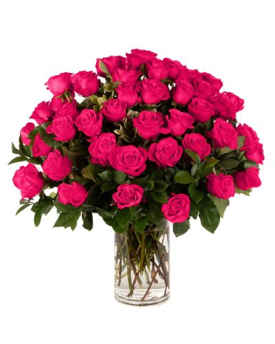 Four Dozen Hot Pink Roses 
