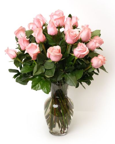 Double the Dozens 12 = 24 Soft Pink Roses