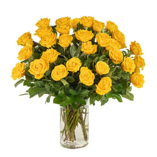 Double the Dozens 18 = 36 Yellow Roses