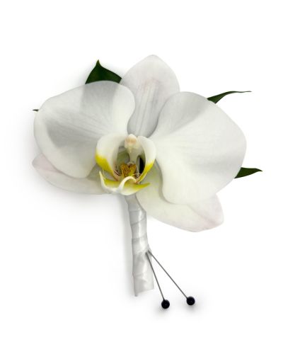 White Phal Orchid Boutonniere