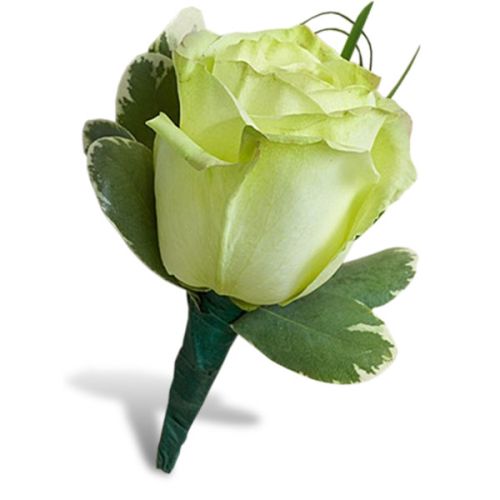 Charming Green Rose Boutonniere