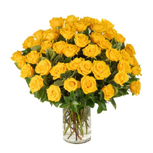 Four Dozen Yellow Roses