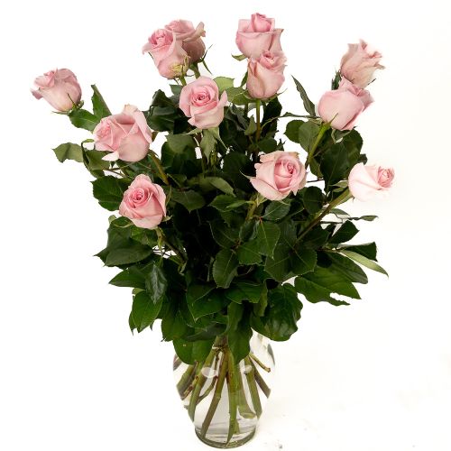 One Dozen Soft Pink Roses