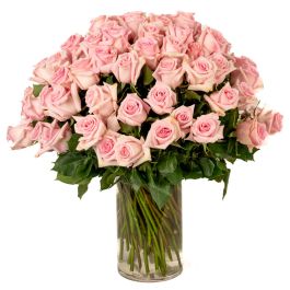 Stunning 75 Soft Pink Roses Arranged Beautifully - Flowermart Florist