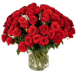 14 Red Roses Four Dozen Red Roses Arranged Beautifully - Flowermart Florist